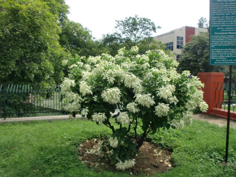 India Trip - July 2010 138.jpg